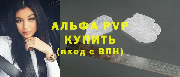 прущие грибы Верхний Тагил